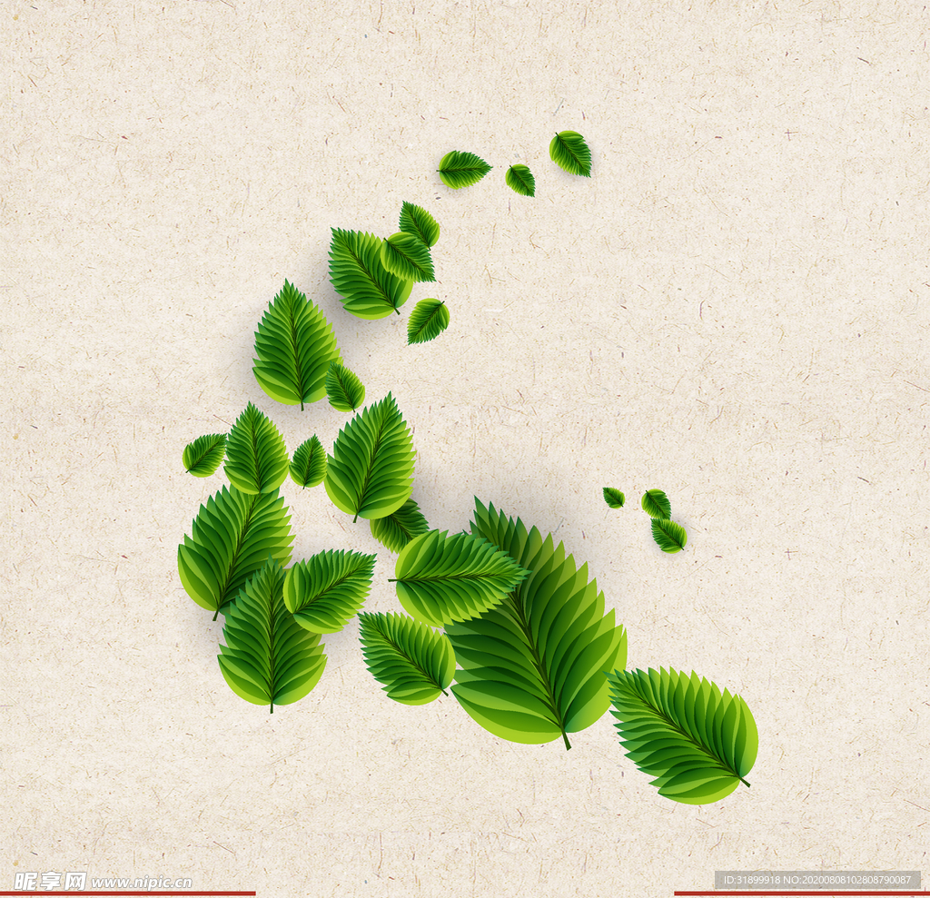 矢量动物 矢量植物 插画 手绘