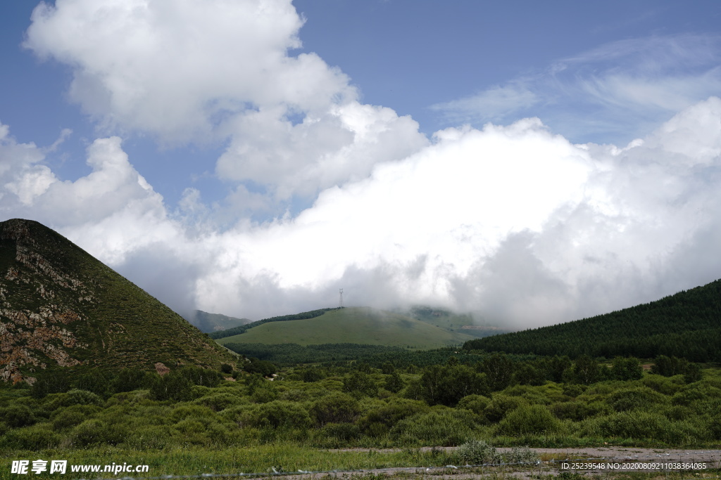 草原 天空 森林