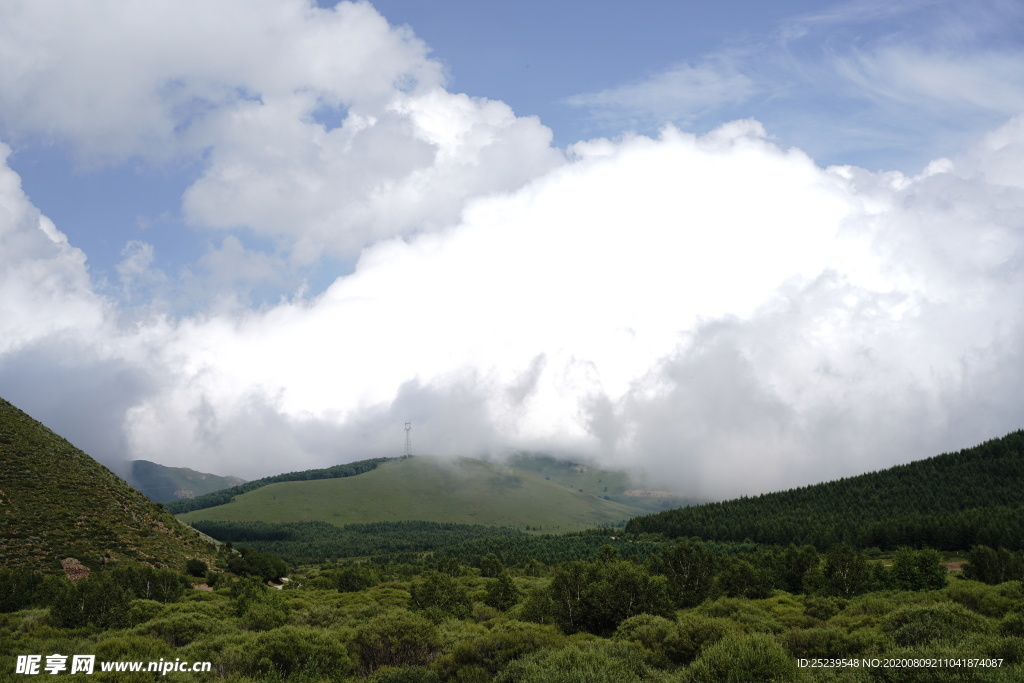 草原 天空 森林