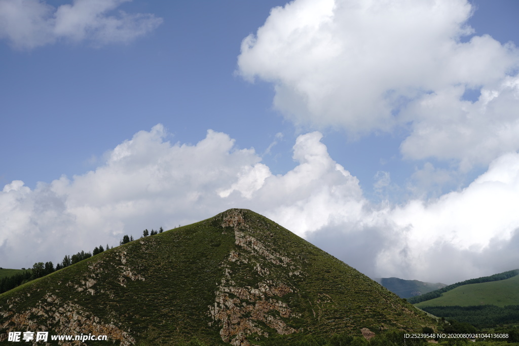 草原 天空  森林