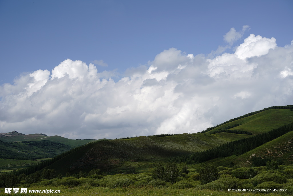 草原 天空 森林