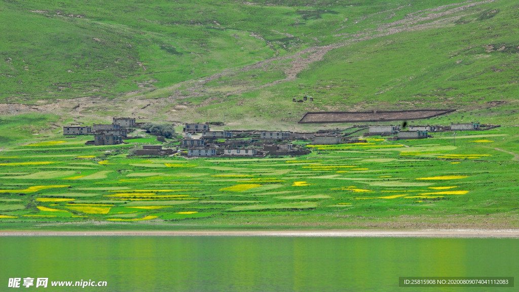梯田 田园 农田 田野 梯田风