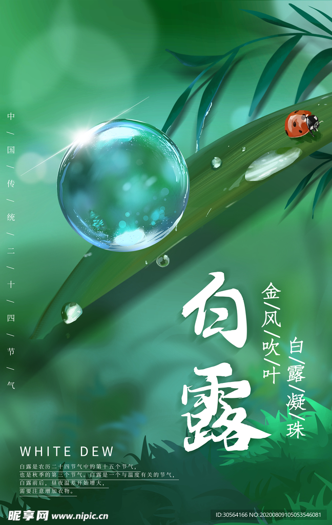 白露传统节日促销活动宣传海报