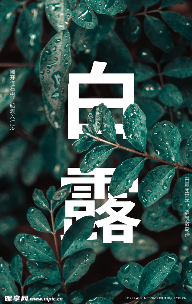 白露传统节日促销活动宣传海报