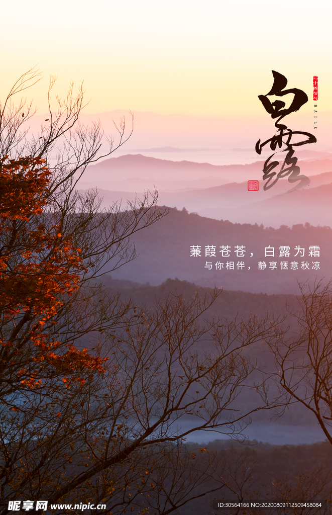 白露传统节日促销活动宣传海报