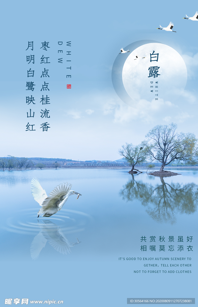 白露传统节日促销活动宣传海报