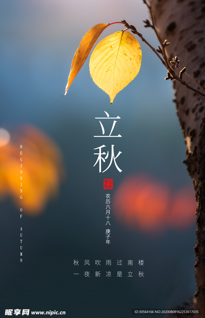 立秋传统节日宣传活动海报素材