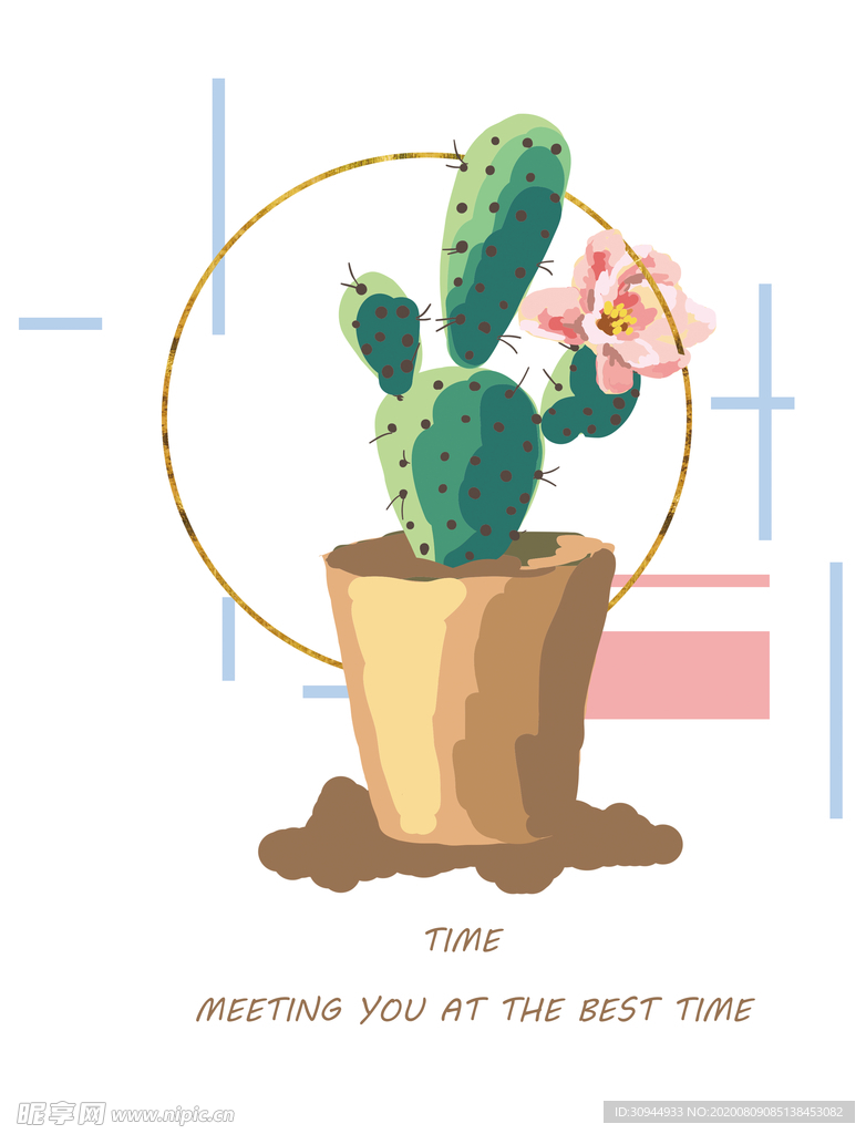 多肉植物装饰画