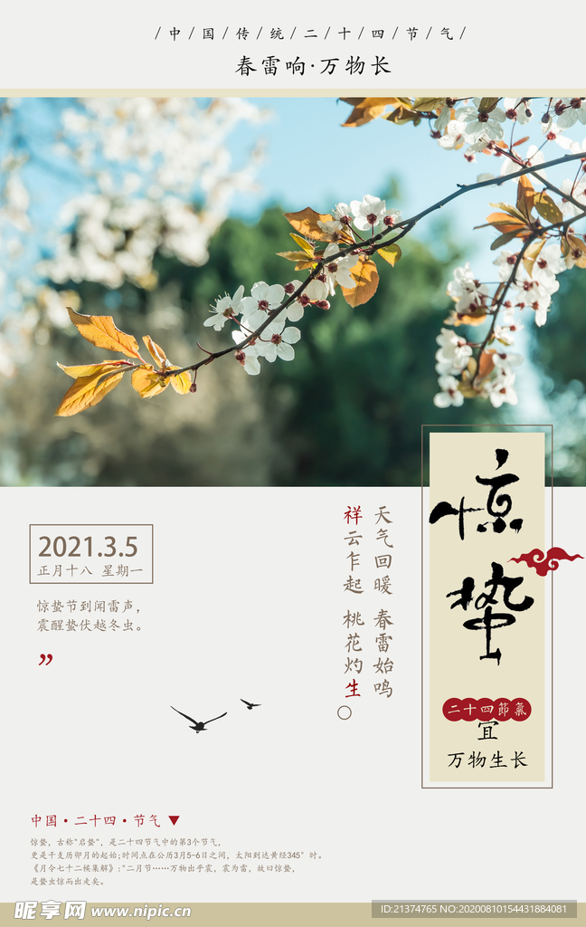 中国风惊蛰海报