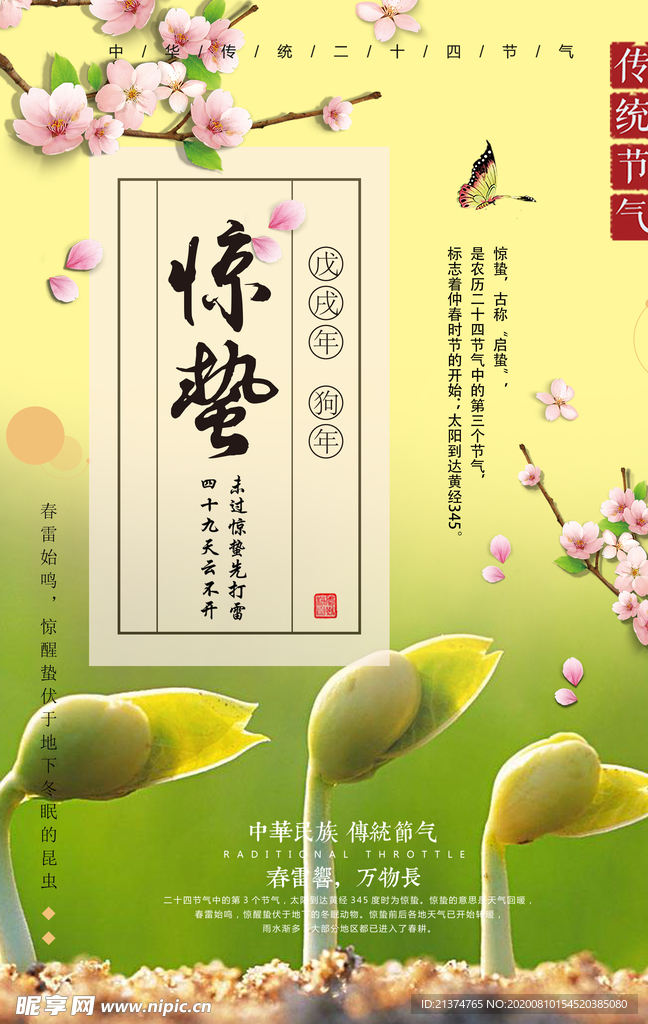 简约明亮惊蛰节气海报