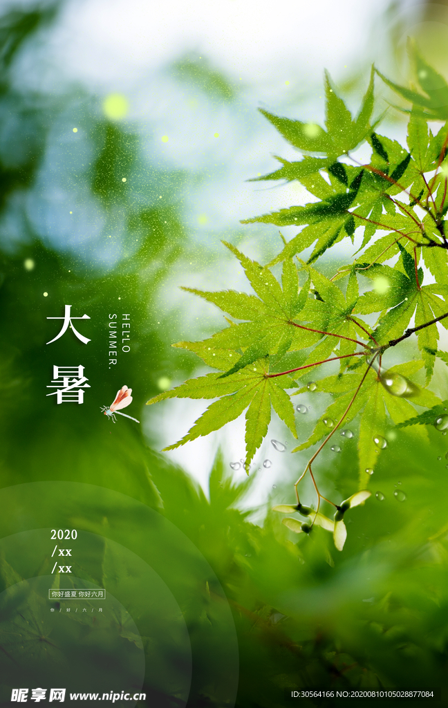 大暑传统节日活动宣传海报