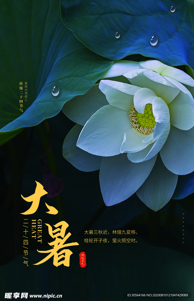 大暑传统节日活动促销宣传海报