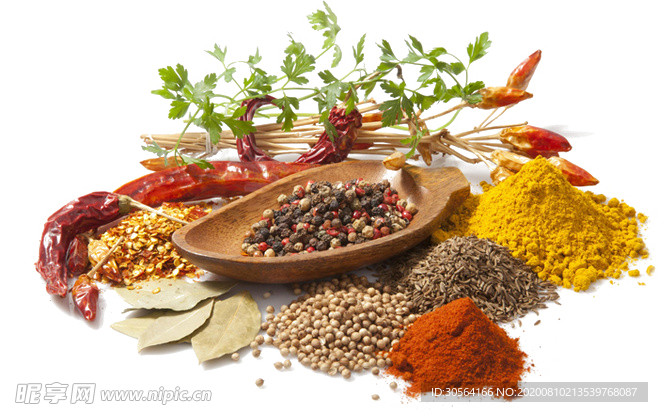 配料佐料辅料美食食材海报素材