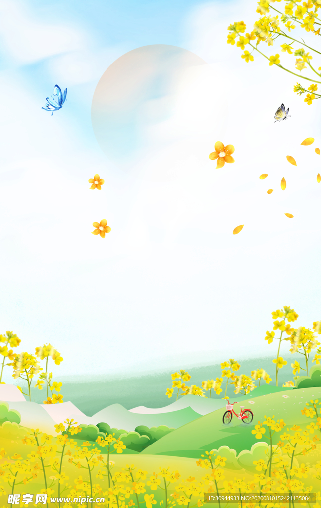 油菜花背景