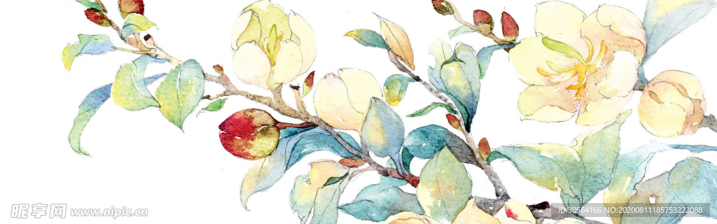 枝页插画水彩国风古风背景