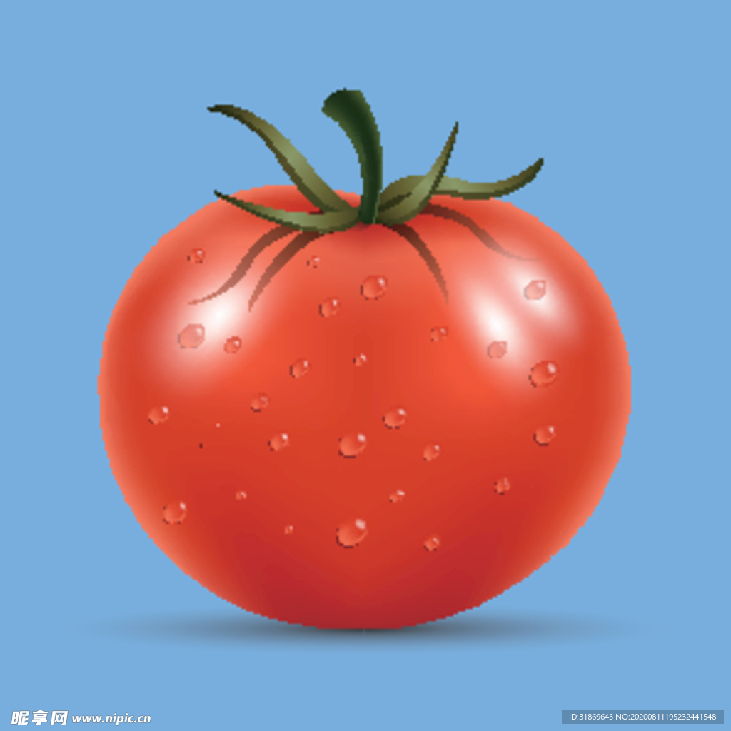 矢量西红柿番茄蔬菜高清果蔬素材