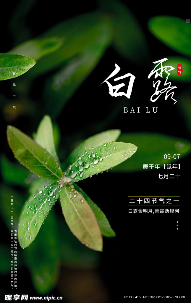 白露传统节日促销活动海报素材