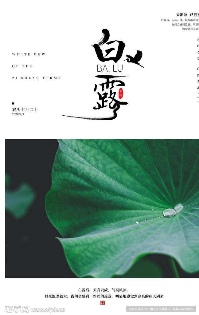 白露传统节日促销活动海报素材