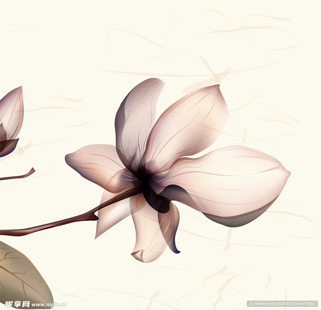 中国风荷花装饰画