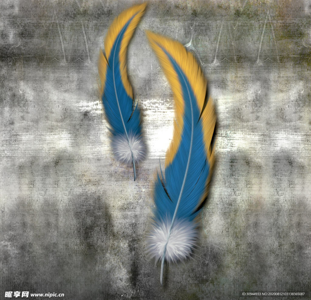 羽毛玄关装饰画