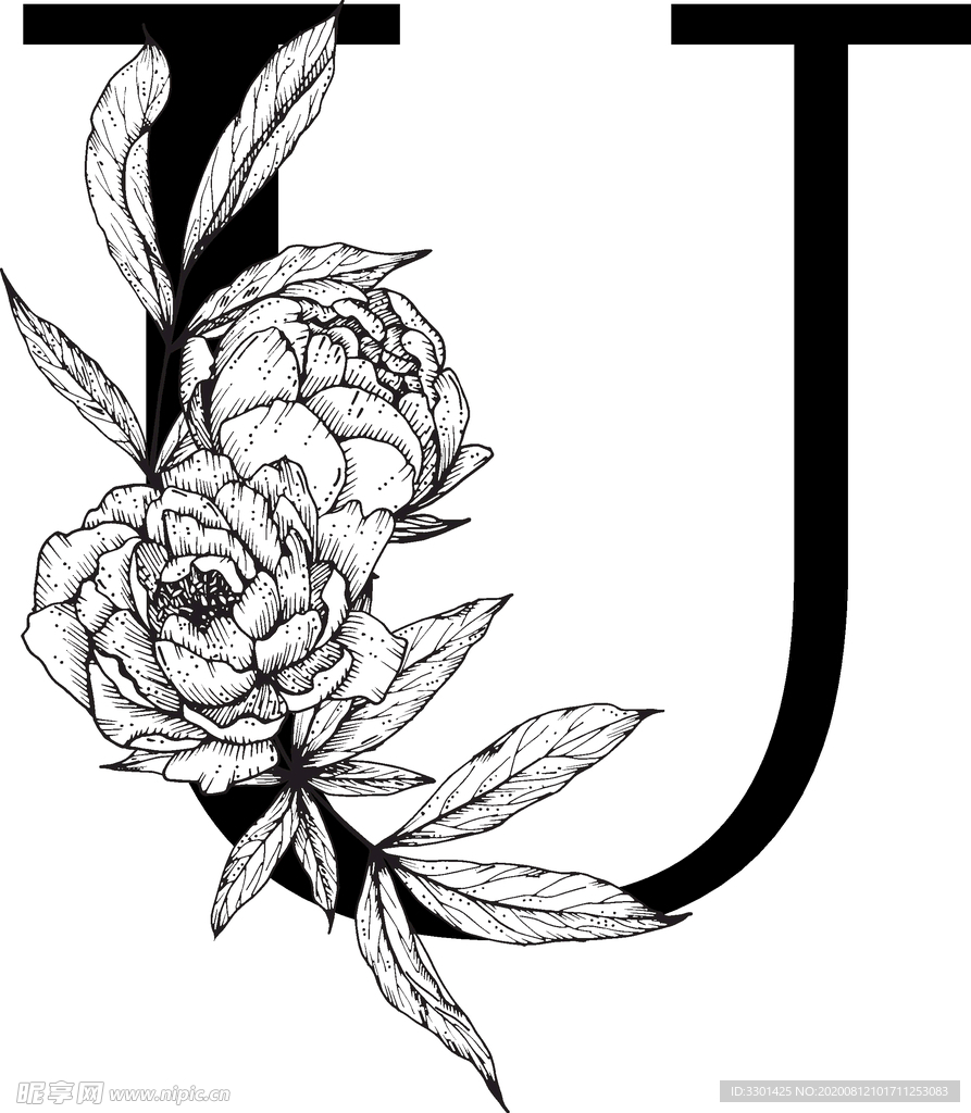 花卉装饰字母 字母U