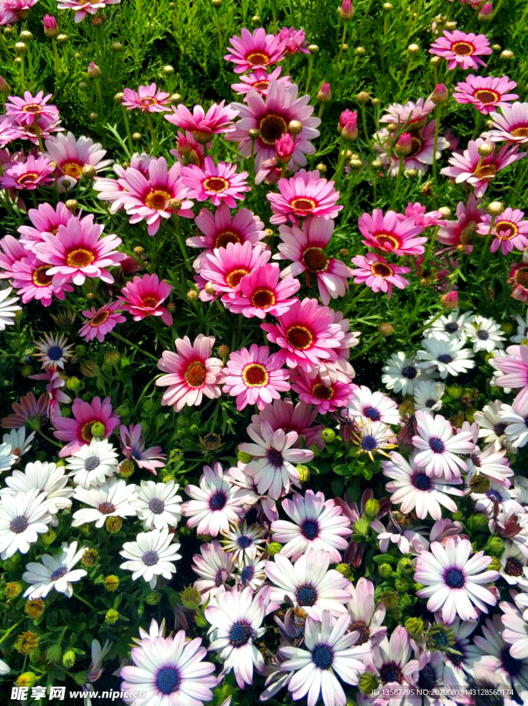 花