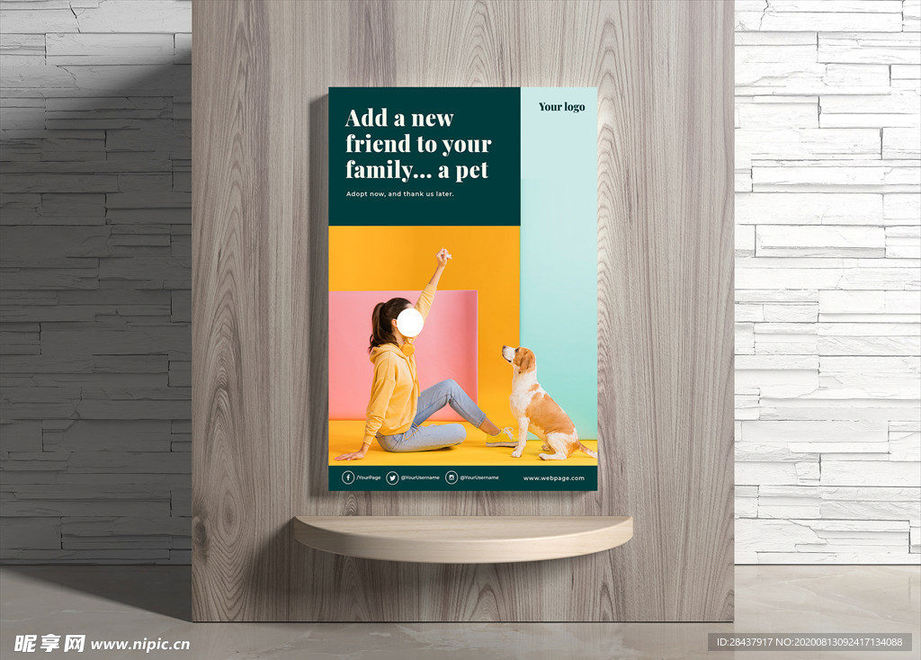 宠物海报