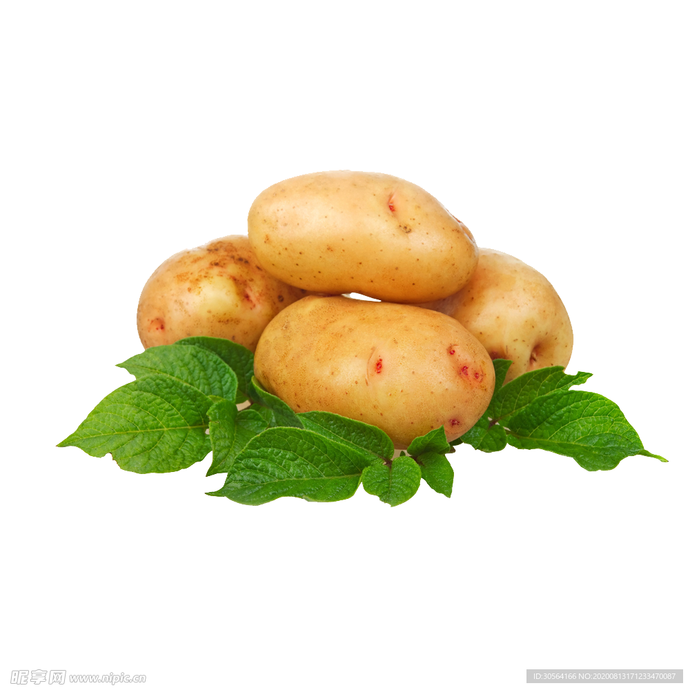 土豆食物食材美食海报素材