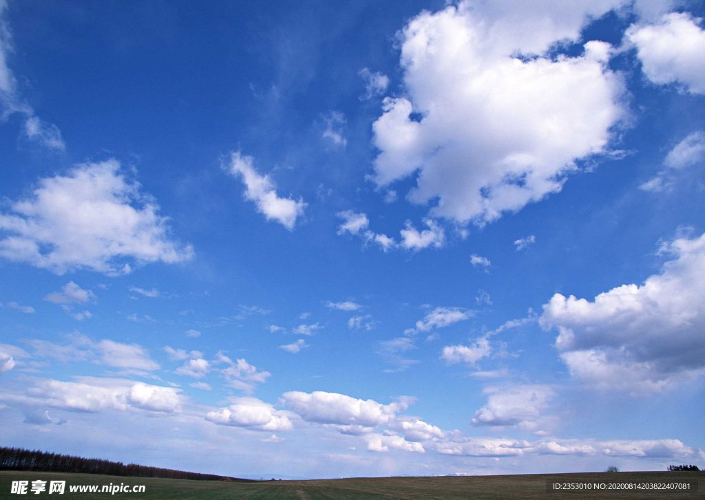蓝天草地