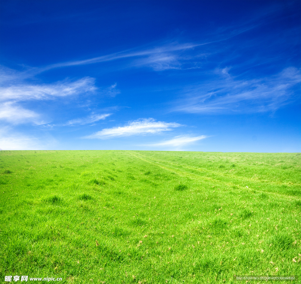 蓝天草原