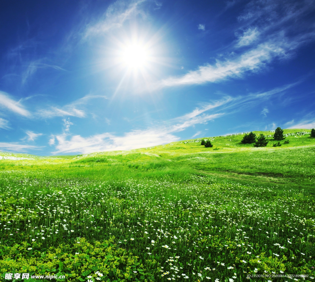 蓝天与草地