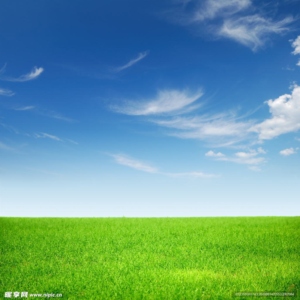蓝天与草地