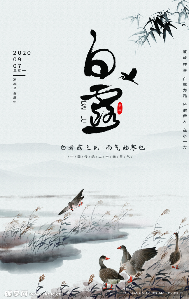 白露传统节日活动促销海报素材