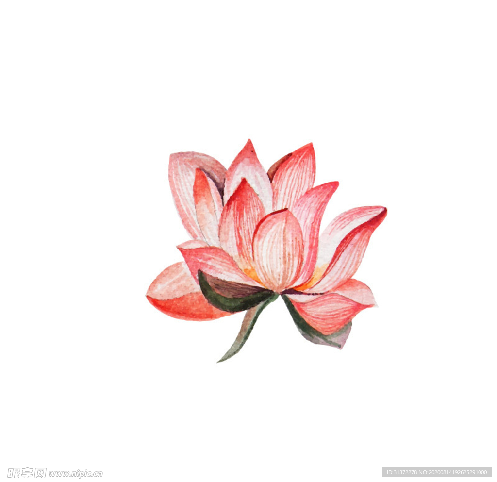 水墨风荷花图片