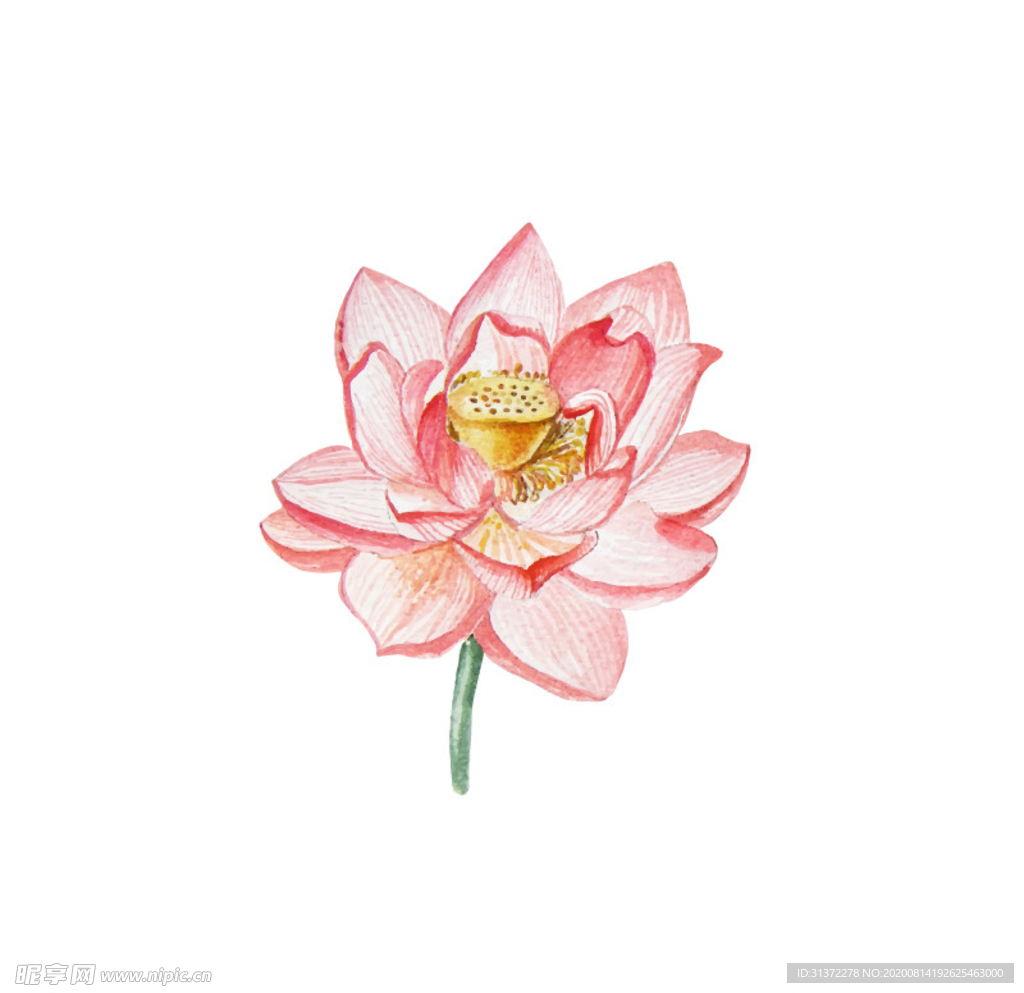 水墨风荷花图片