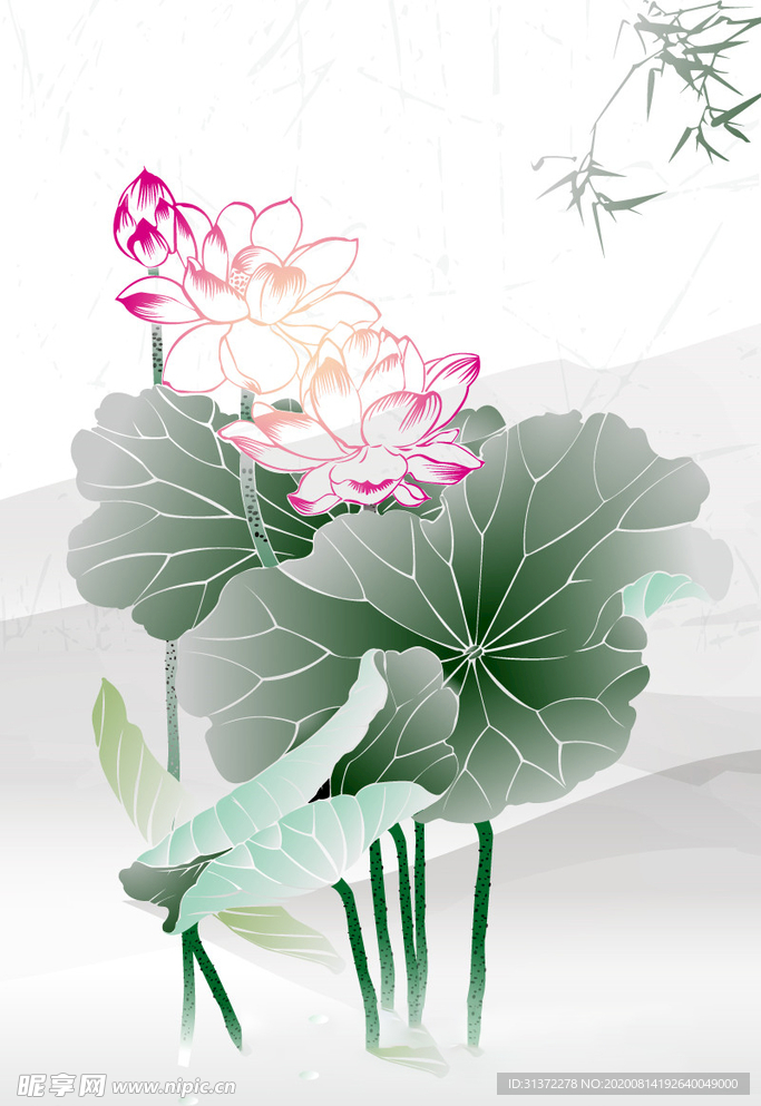 水墨风荷花图片