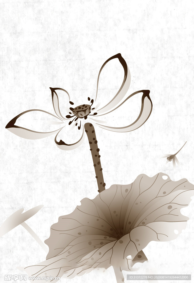 水墨风荷花图片