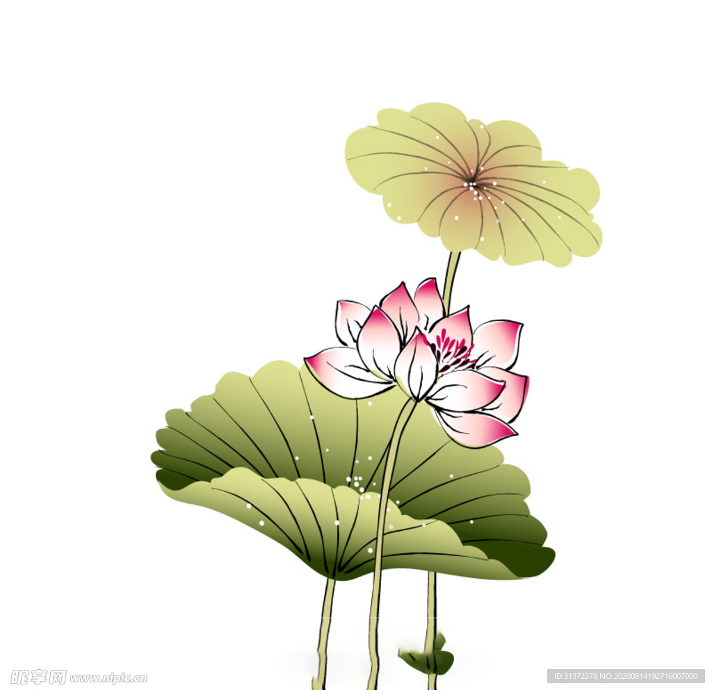 水墨风荷花图片