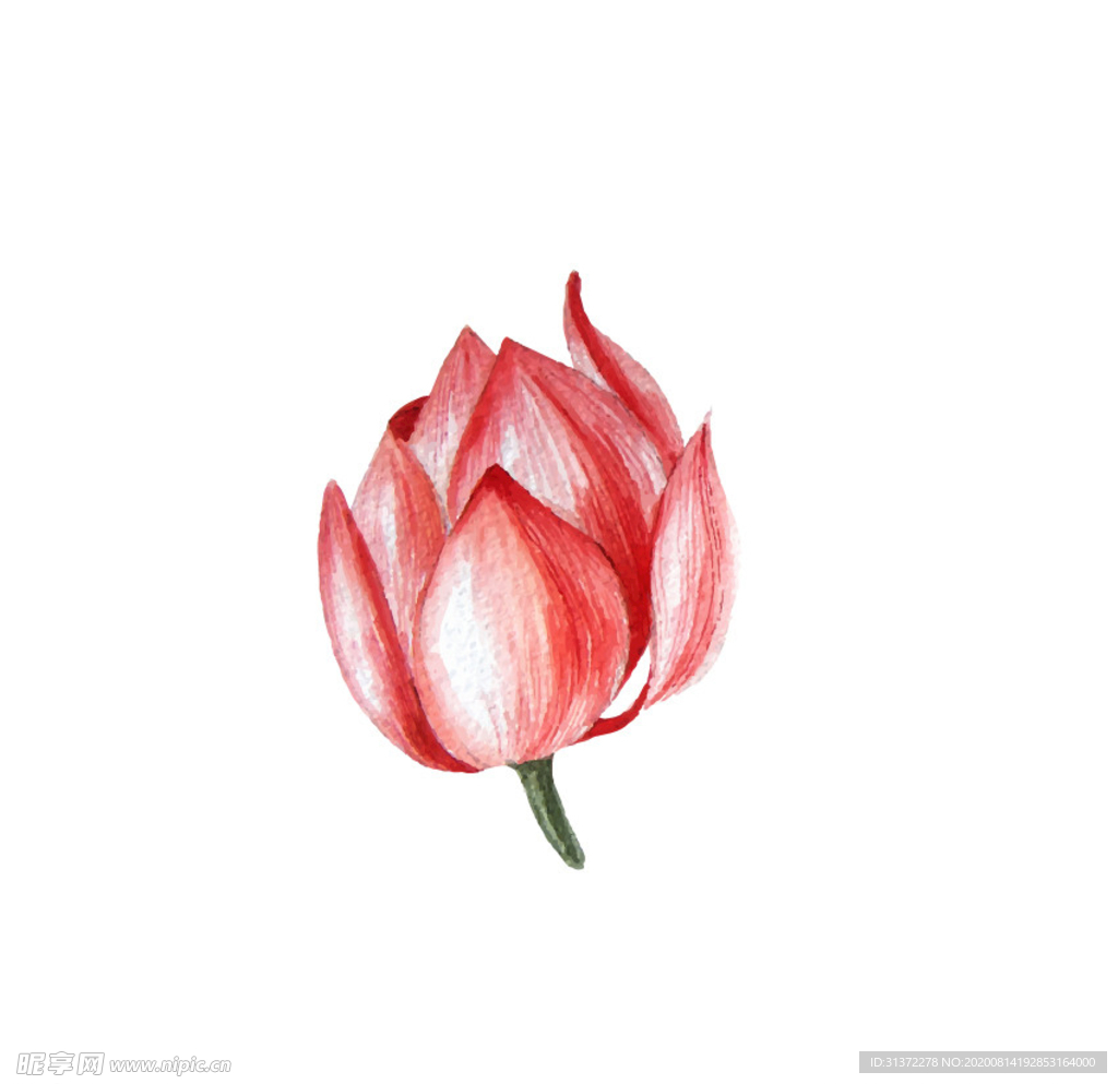 水墨风荷花图片