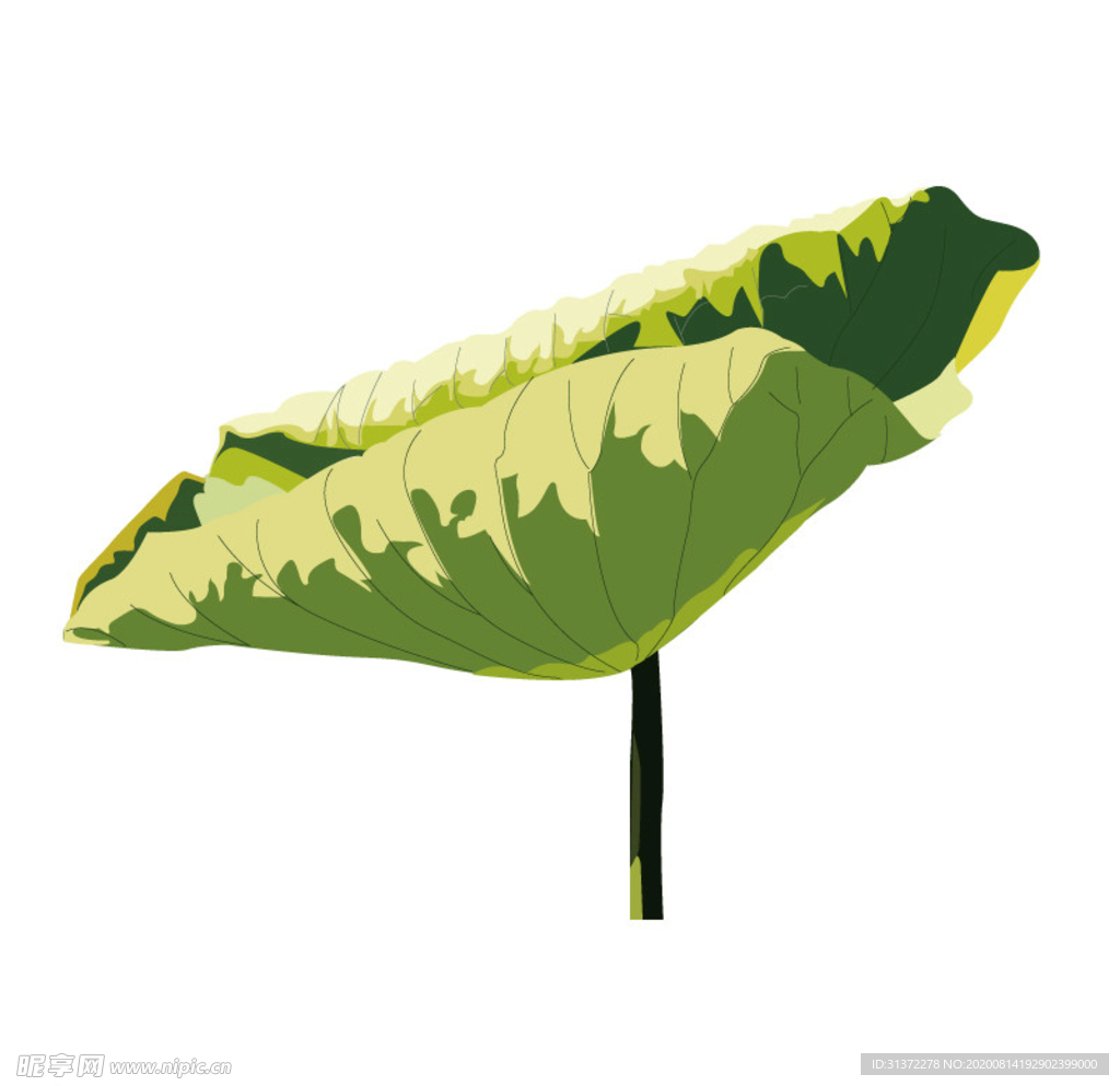 水墨风荷花图片