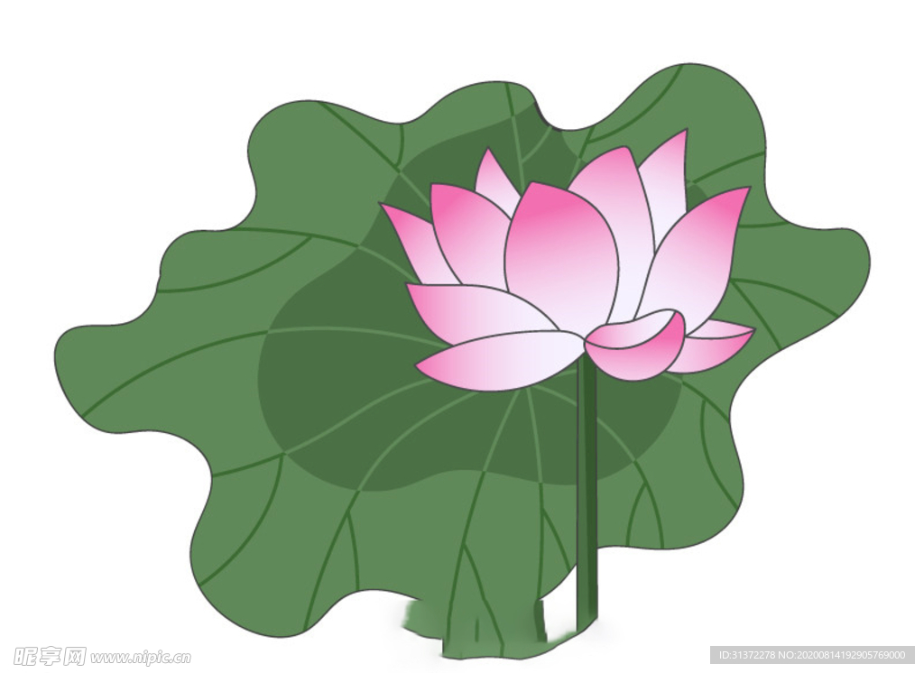 水墨风荷花图片