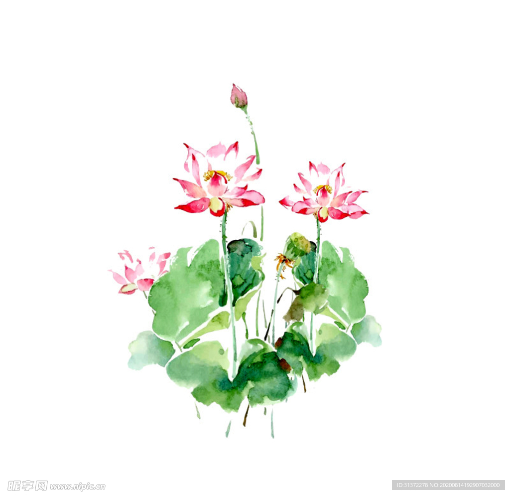 水墨风荷花图片