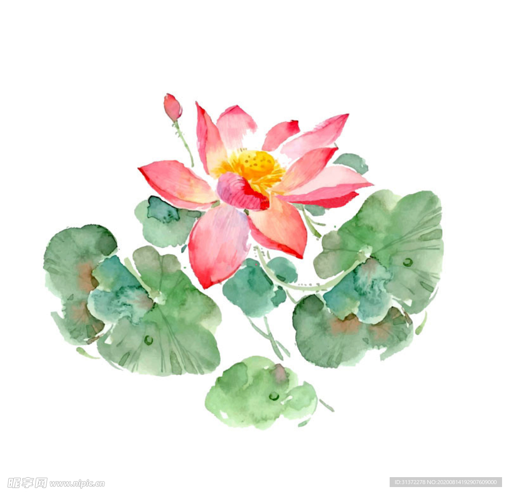 水墨风荷花图片