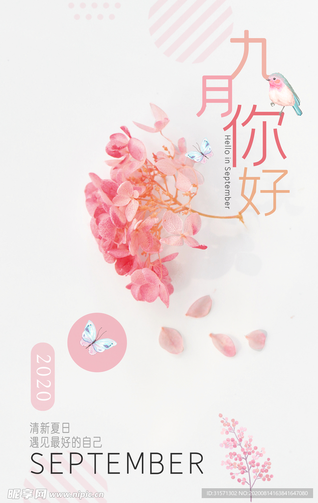 清新粉色花朵九月你好海报