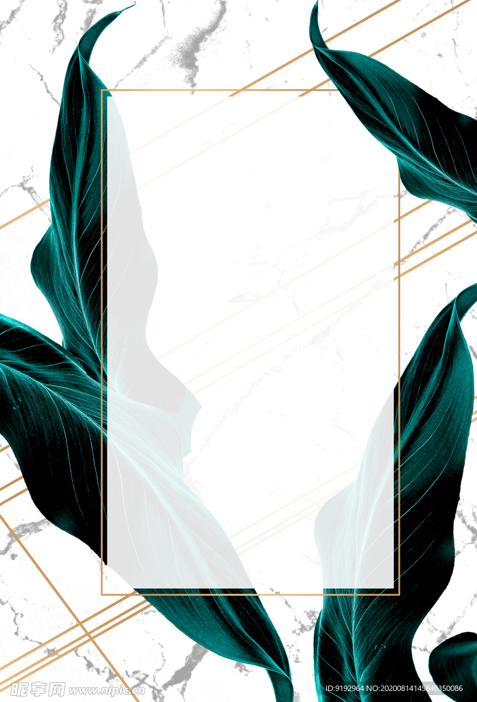 热带植物装饰框