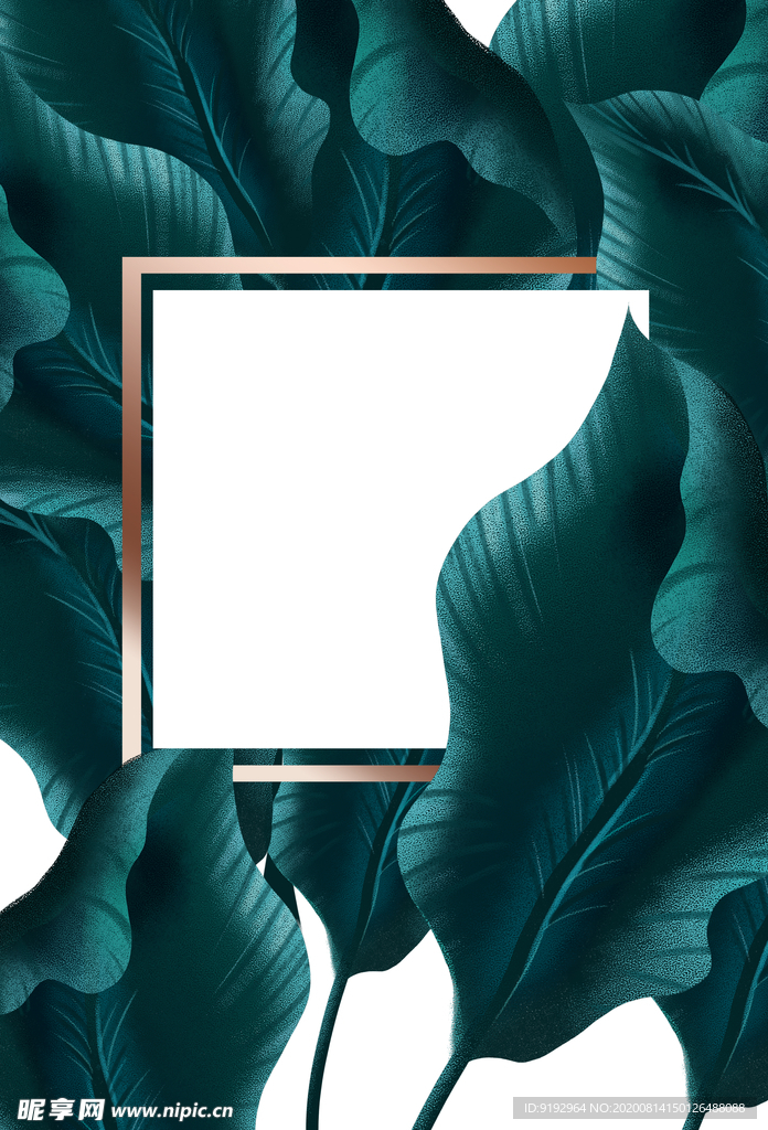 热带植物装饰框