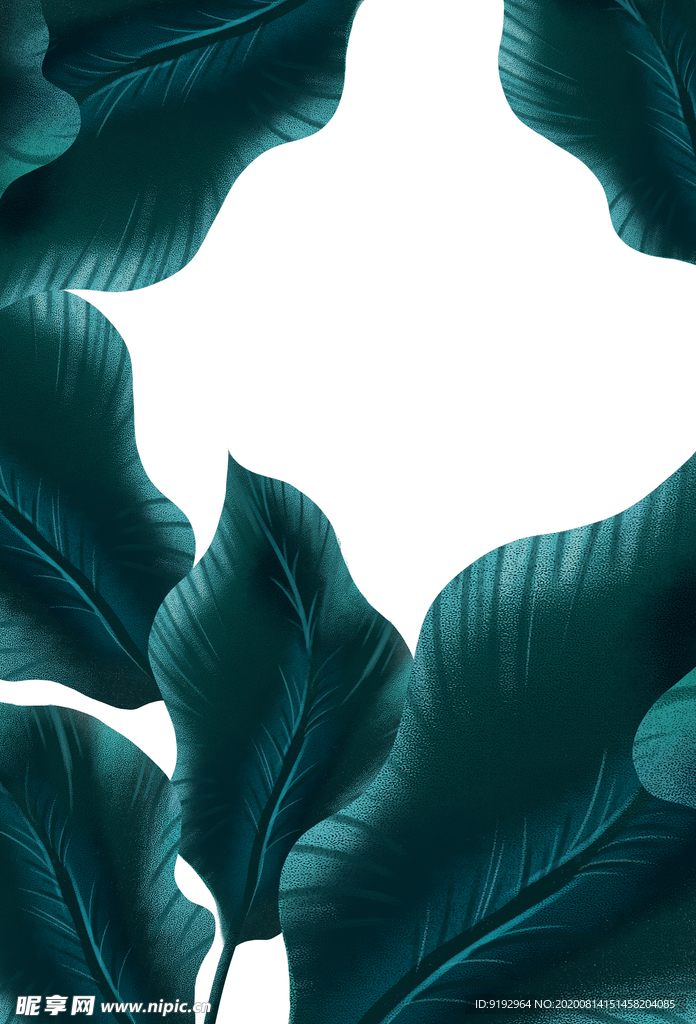 热带植物装饰框