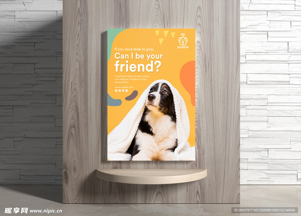 宠物海报