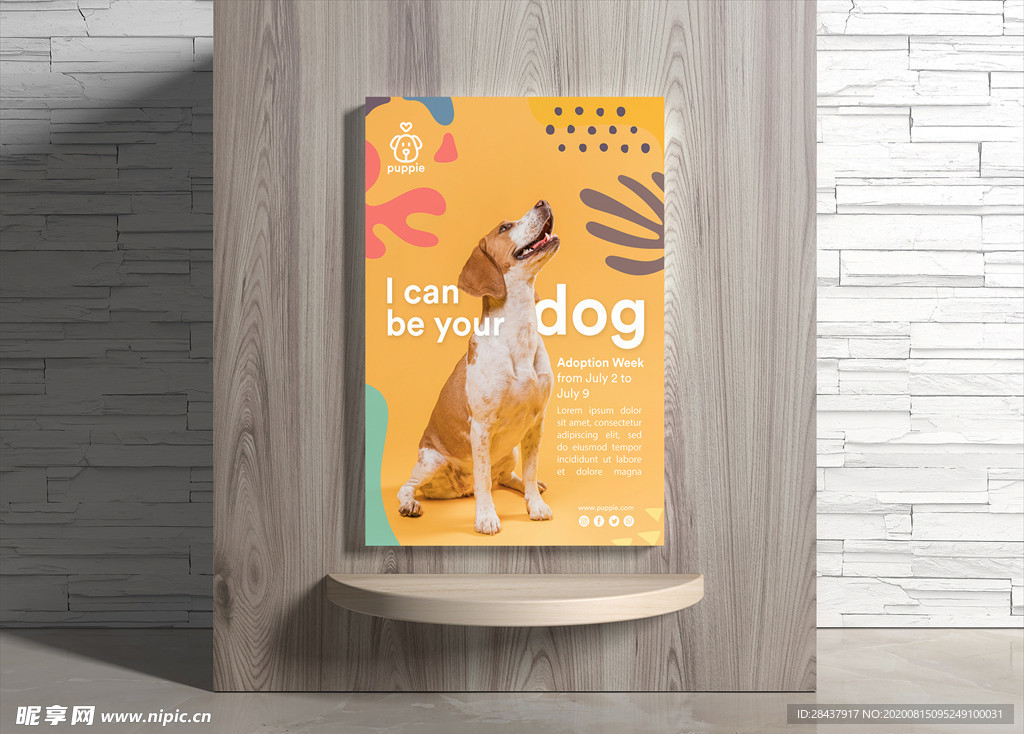 宠物海报