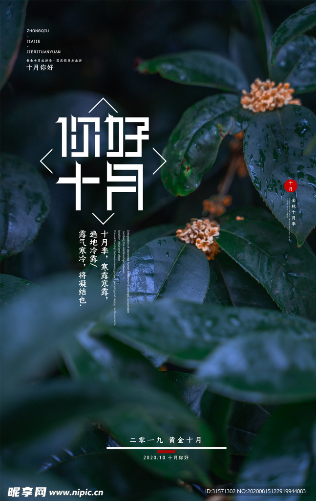金秋十月你好海报